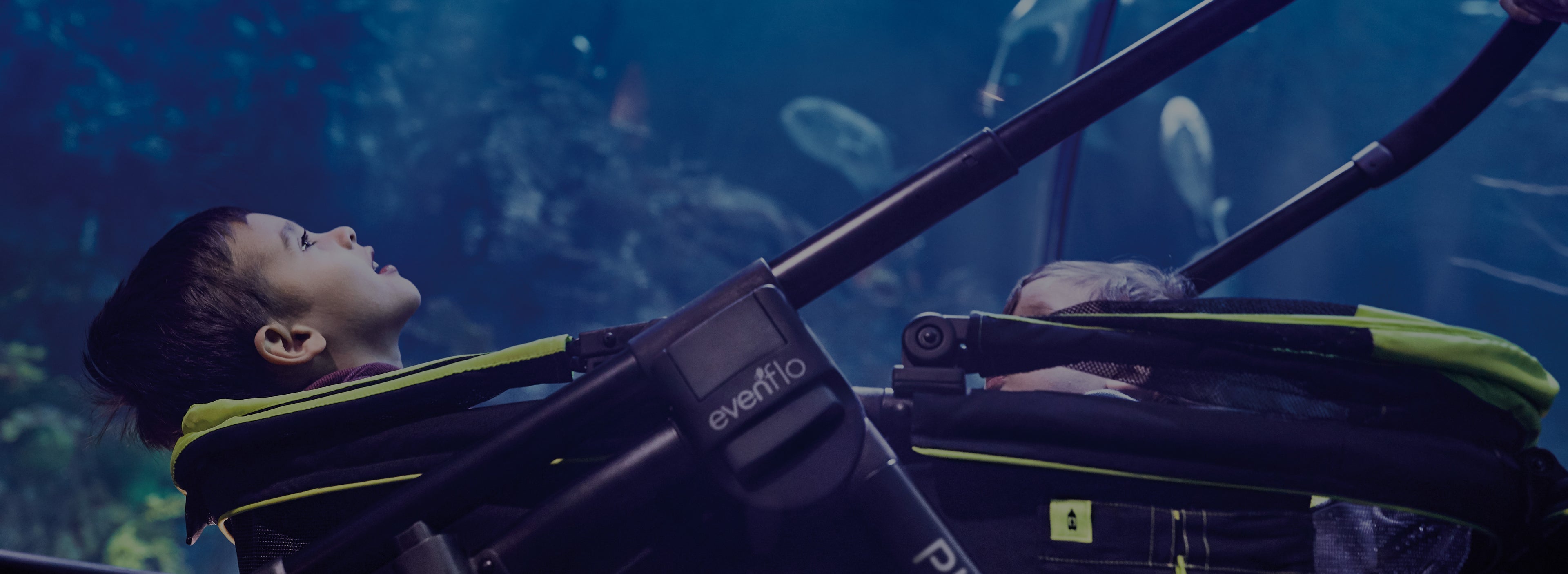 Pivot Xplore Wayfarer Lifestyle uncropped